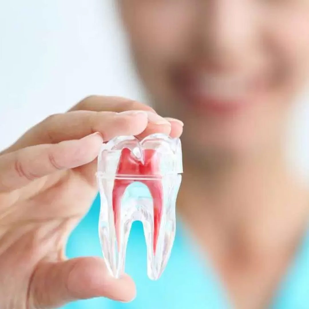 https://dev.passiondentalcare.com/wp-content/uploads/2022/12/perawatan-saluran-akar-gigi-images-1-min.jpg
